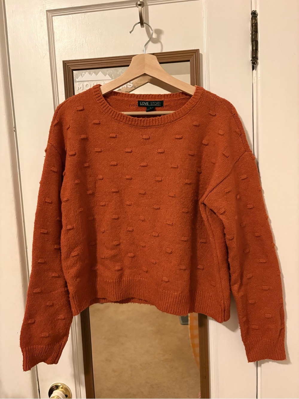 Women's Rust Orange Textured Knit Sweater